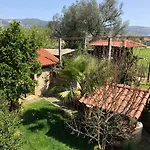 팜스테이 The Olive Tree Country