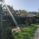 The Olive Tree Country 팜스테이 빌라 베르데