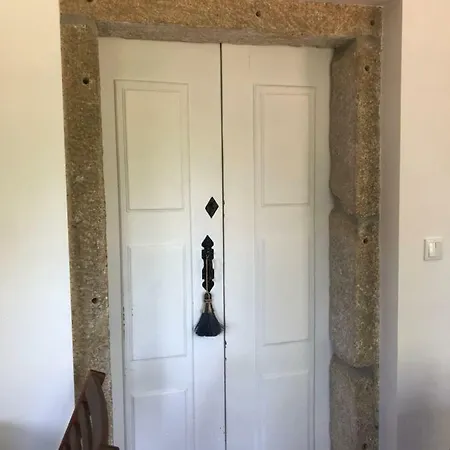 The Olive Tree Country