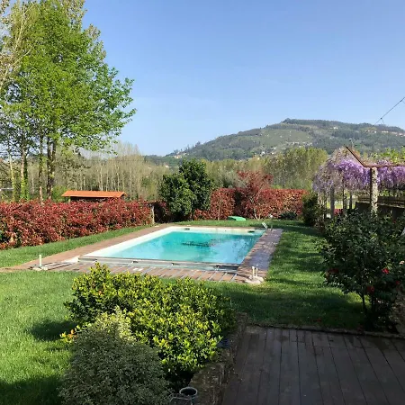 The Olive Tree Country * Vila Verde (Braga)