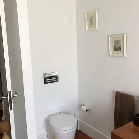 The Olive Tree Country *