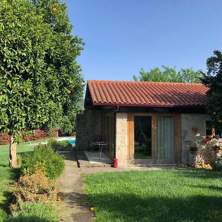 Farm stay The Olive Tree Country