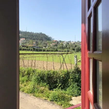 The Olive Tree Country