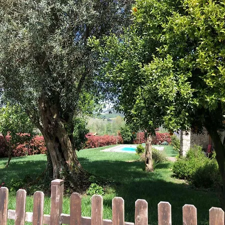 Farm stay The Olive Tree Country Vila Verde (Braga)