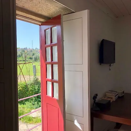 The Olive Tree Country