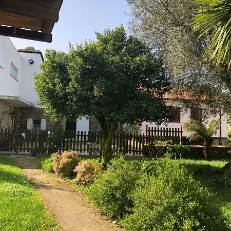 Farm stay The Olive Tree Country Vila Verde (Braga)