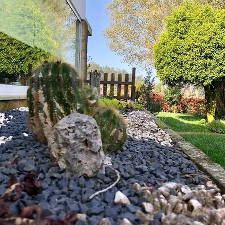 The Olive Tree Country