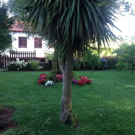 The Olive Tree Country Vila Verde (Braga)