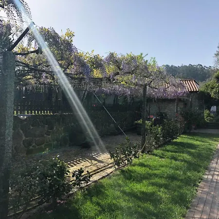 The Olive Tree Country Farm stay Vila Verde (Braga)