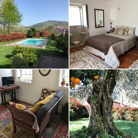 Alojamento de Turismo Rural The Olive Tree Country *