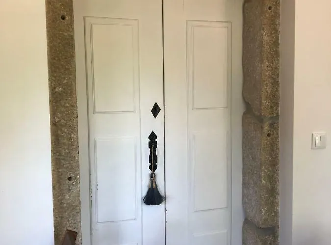 The Olive Tree Country