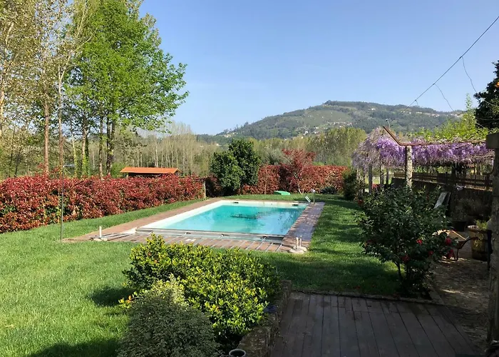 The Olive Tree Country * Vila Verde (Braga)