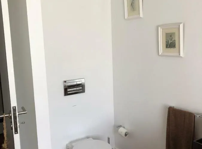 The Olive Tree Country *