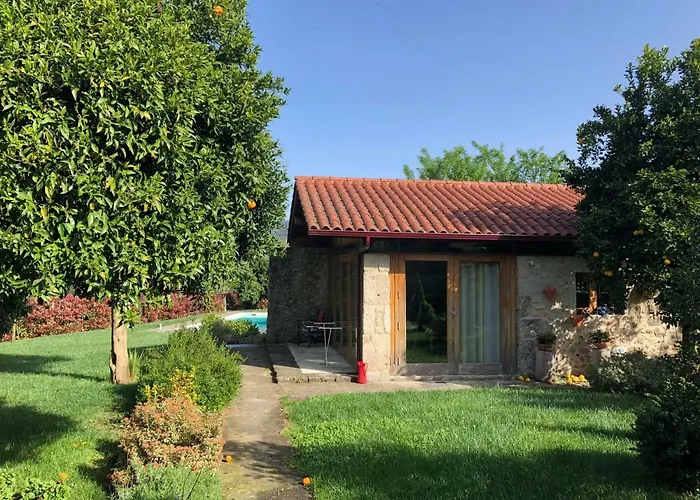 Agroturismo The Olive Tree Country