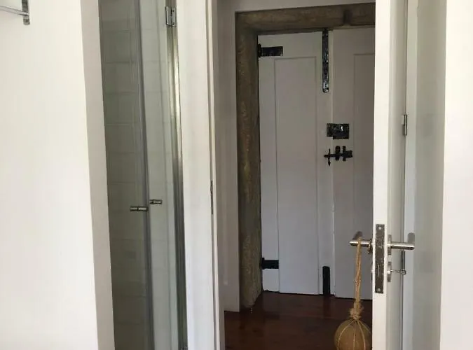 The Olive Tree Country *