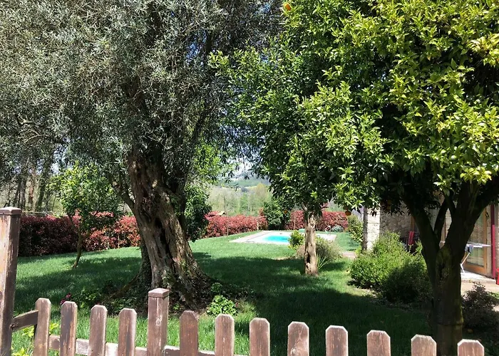 Alojamento de Turismo Rural The Olive Tree Country Vila Verde (Braga)