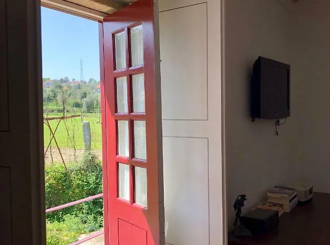 The Olive Tree Country