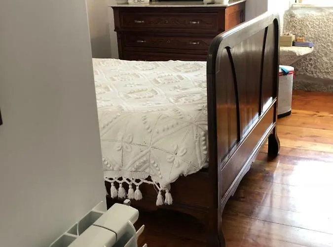 The Olive Tree Country * Vila Verde (Braga)