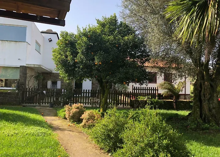 Alojamento de Turismo Rural The Olive Tree Country Vila Verde (Braga)