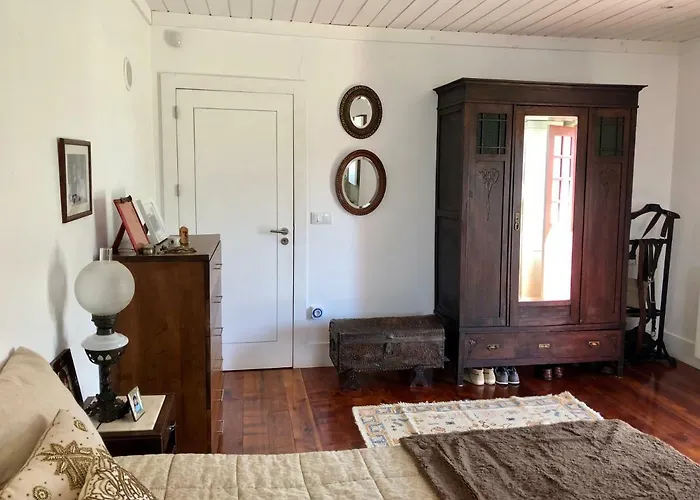 The Olive Tree Country Agroturismo Vila Verde (Braga)