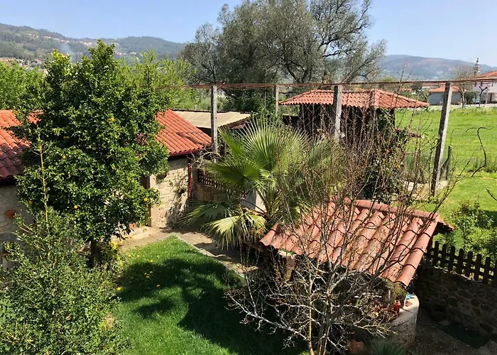 Alojamento de Turismo Rural The Olive Tree Country