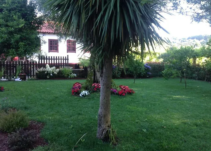 The Olive Tree Country Vila Verde (Braga)