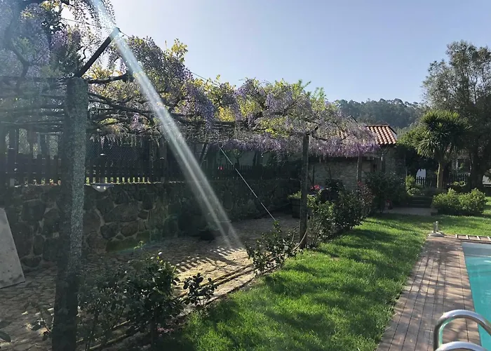 The Olive Tree Country Agroturismo Vila Verde (Braga)