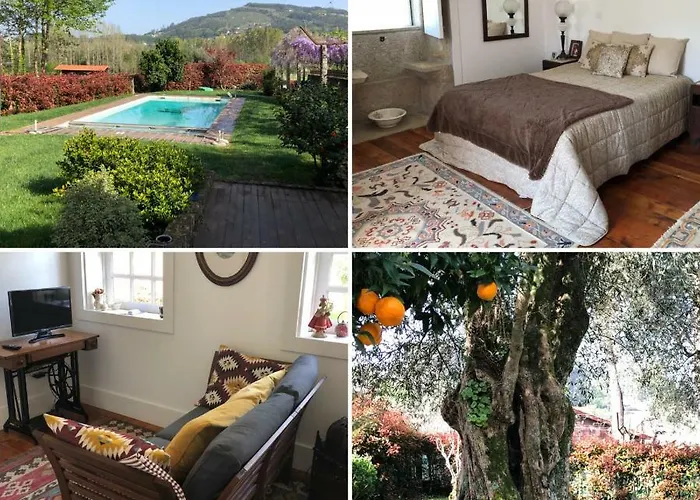 Agroturismo The Olive Tree Country *