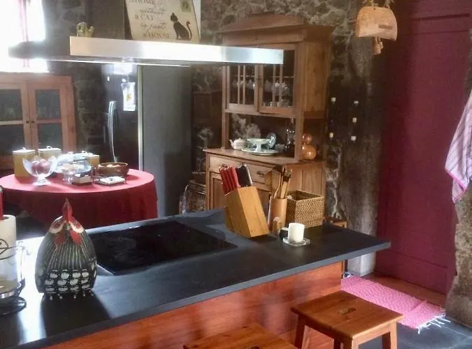 Alojamento de Turismo Rural The Olive Tree Country